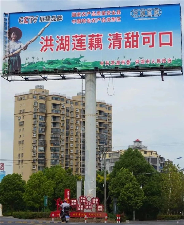 90后大学生回乡卖藕走红，“抖音好物年货节”助洪湖莲藕卖全国